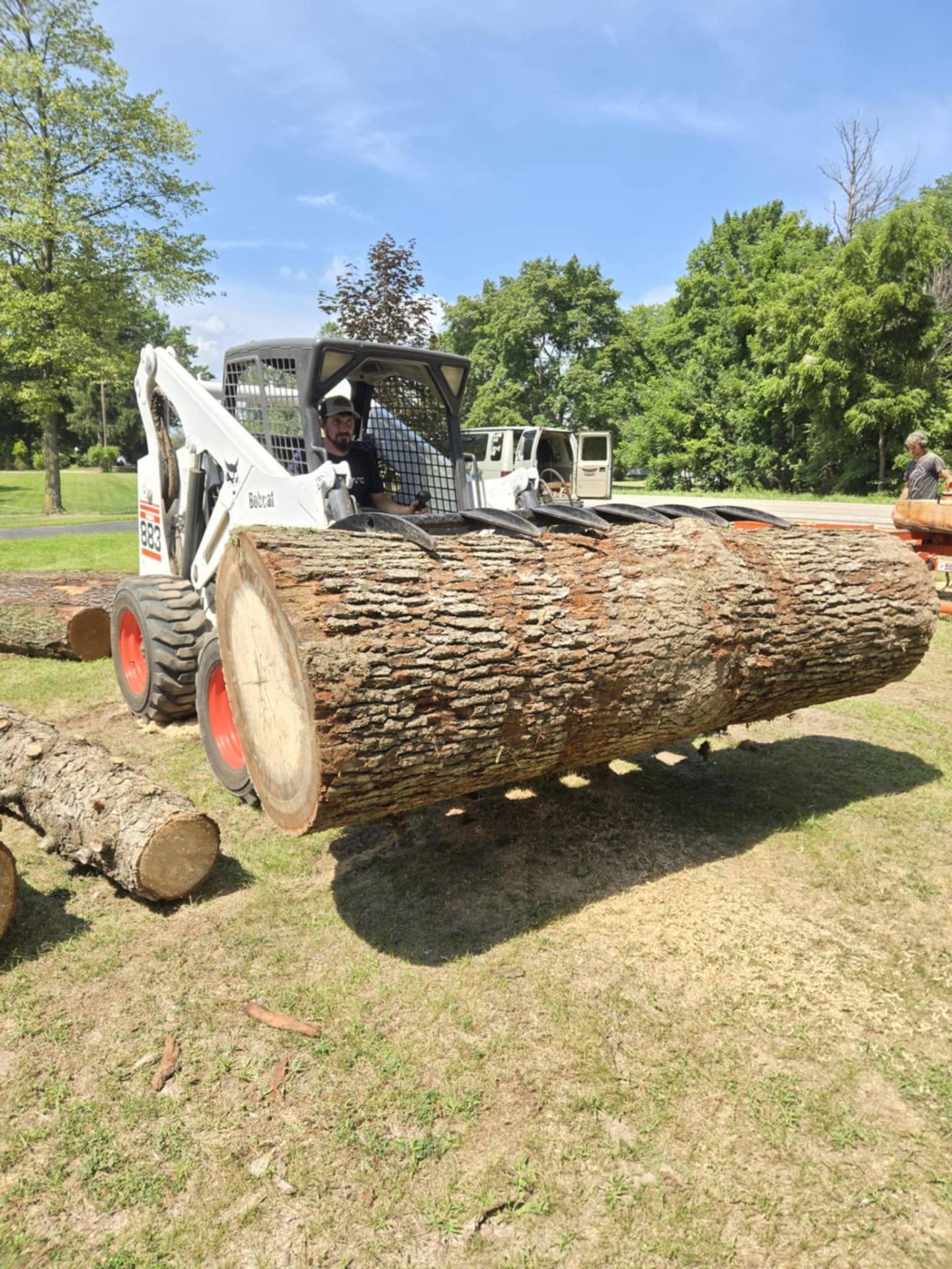 LAND CLEARING
